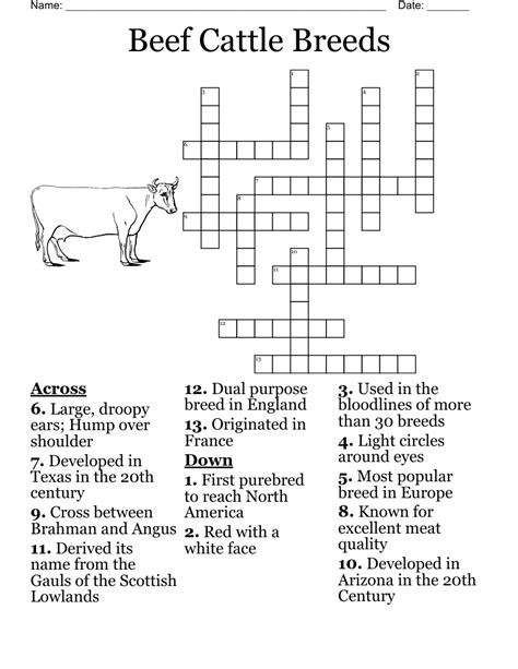 english breed of cattle crossword